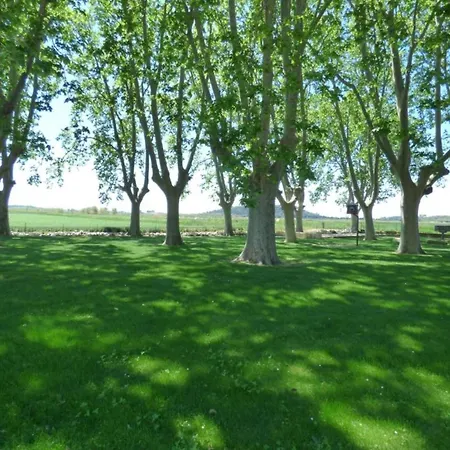 Nature Stay, Luxembourg Holiday home Manhay